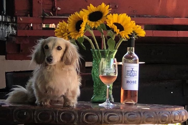 Carmel Valley Wine Tour's Premium Package - Photo 1 of 5